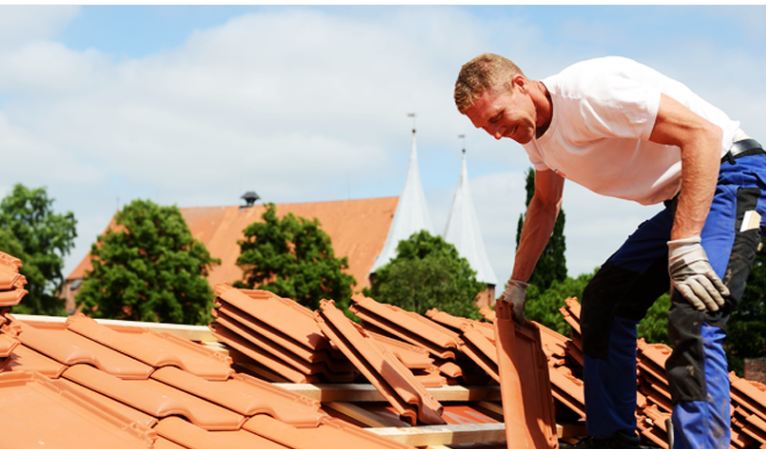 Professional Roof Cleaning  in Florida