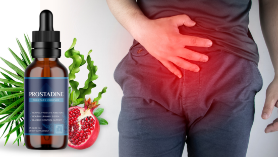 Best Vitamin For Brain Health | The Bold Review Best Vitamin For Brain Health | The Bold Review