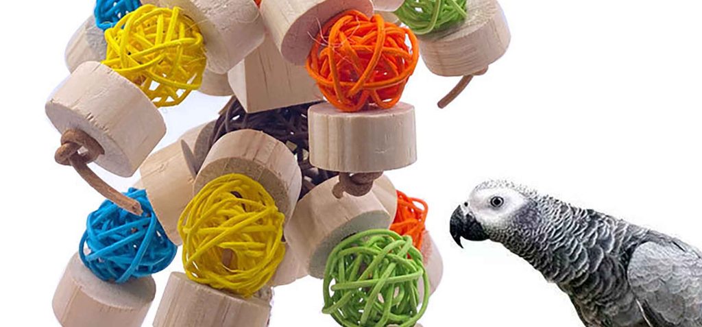 Accessories For Cats | Bagaton.com