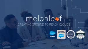 Top Salesforce Consulting Firm | Salesforce CRM Consultant
