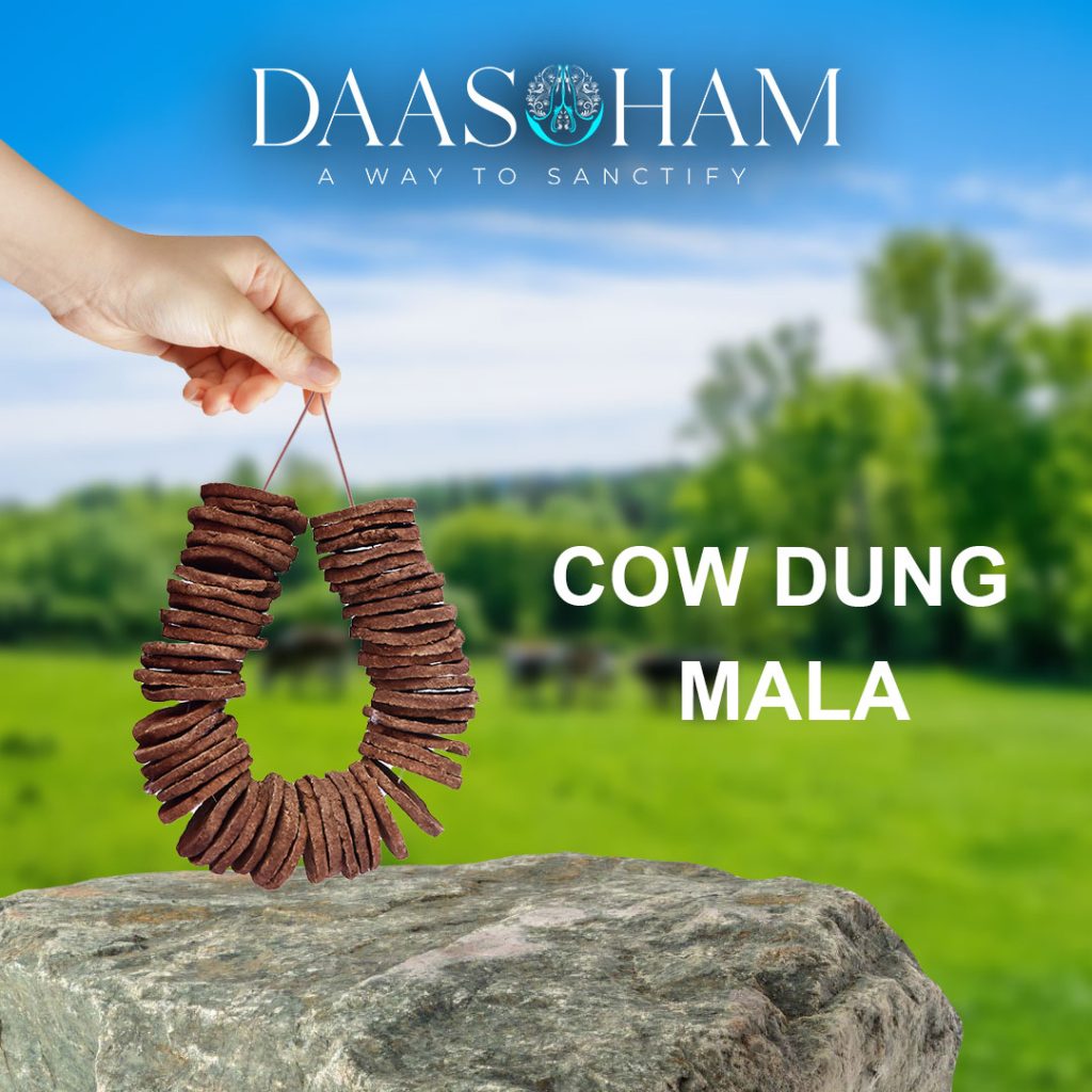 Dung Patties