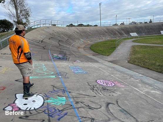 Power Cleaning Newcastle – Dolphin Power Cleaning Power Cleaning Newcastle – Dolphin Power Cleaning