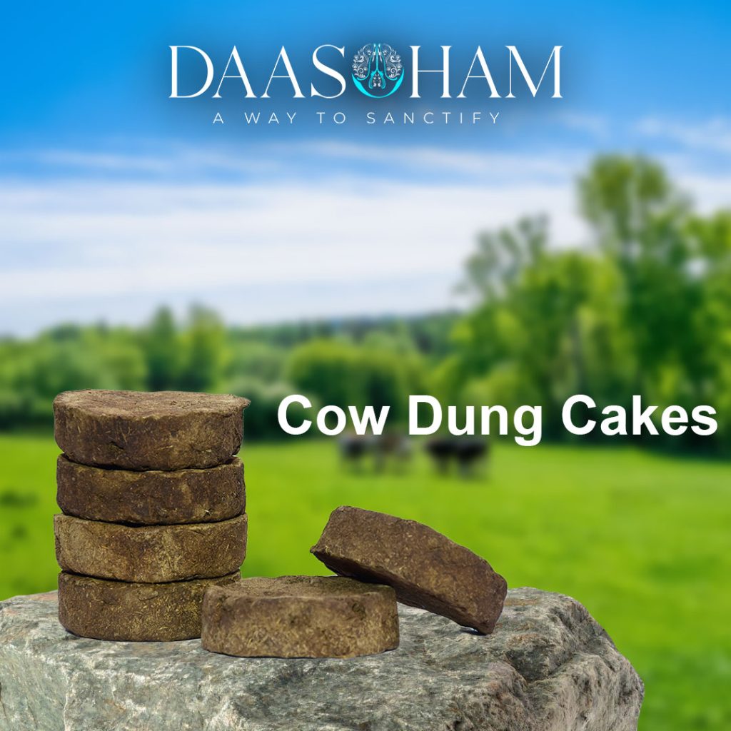 Cow Dung Cakes In Rajasthan
