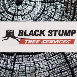 Stump Removal Adelaide Hills Stump Removal Adelaide Hills