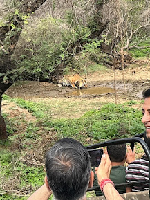sariska safari booking photos  | sariskasafari.org