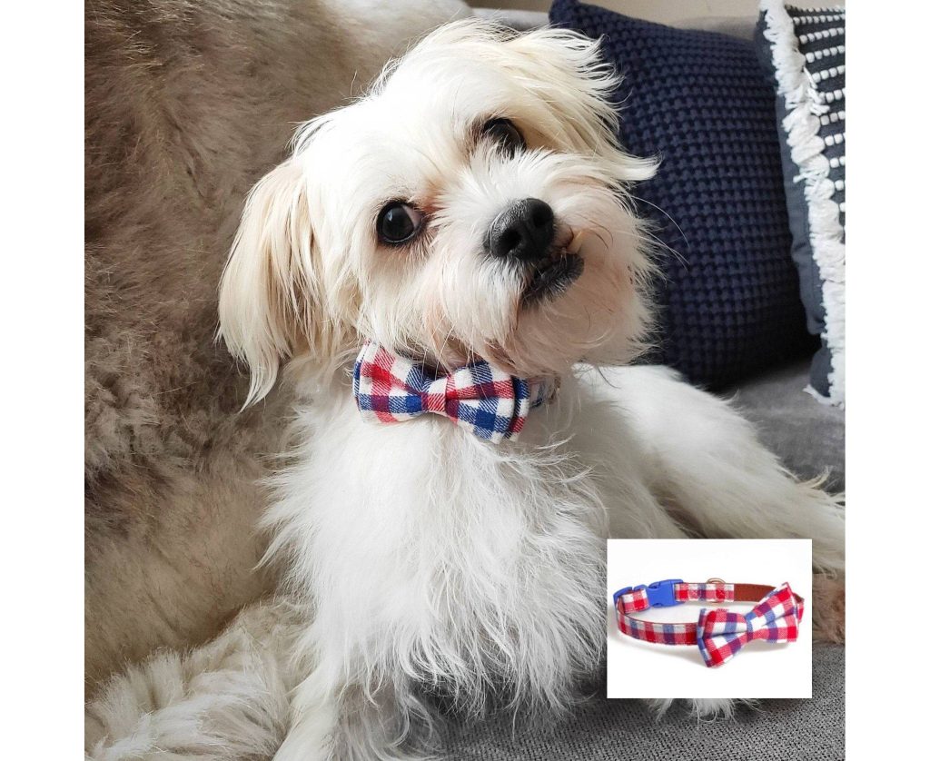 Buy Cotton Bowtie Dog Collar – Check, Mate Online | AllThingsEcoWise