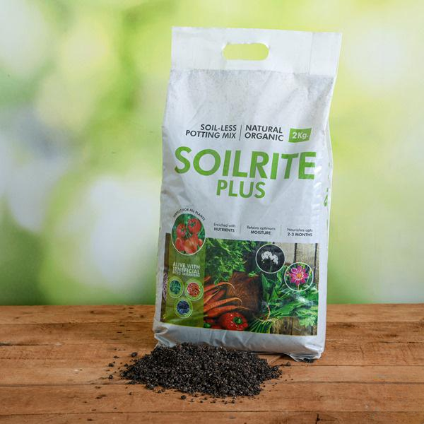 Best Soilless Potting Mix | Indoor Gardening Product – Keltech Energies Best Soilless Potting Mix | Indoor Gardening Product – Keltech Energies