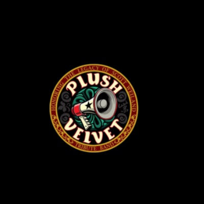 Plush Velvet