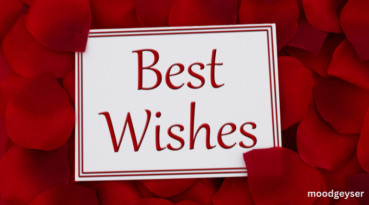 Best Wishes – Heartfelt Messages for Every Occasion | MoodGeyser