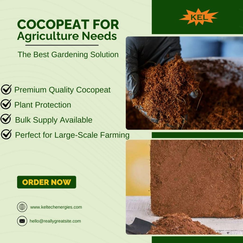 Cocopeat: Best Plant Product