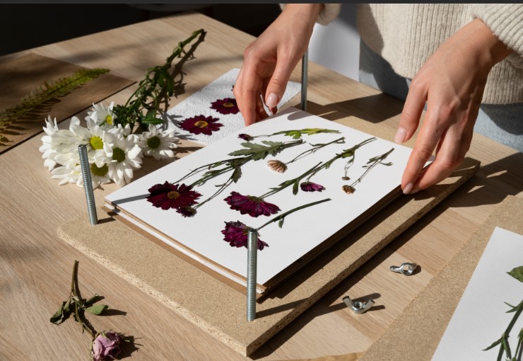 Pressed flower frame sydney