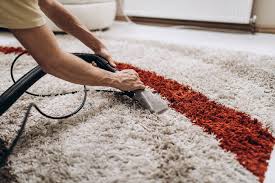 Pet Stain Removal Services in London – Safe, Fast, and Effective
