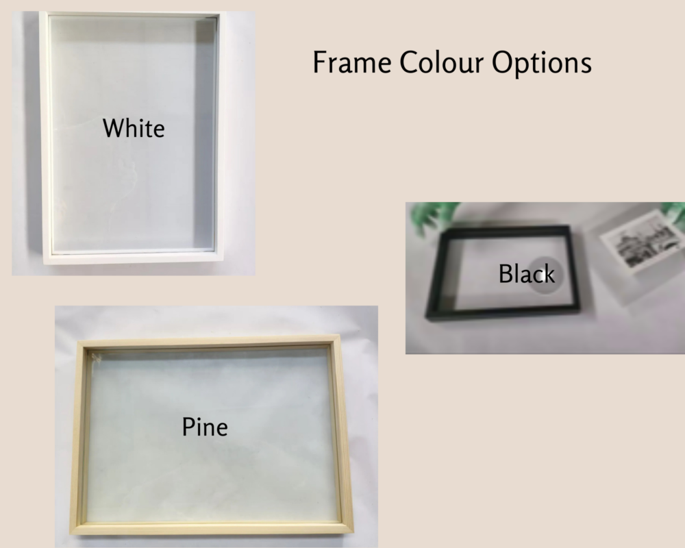 Pressed flower frames sydney