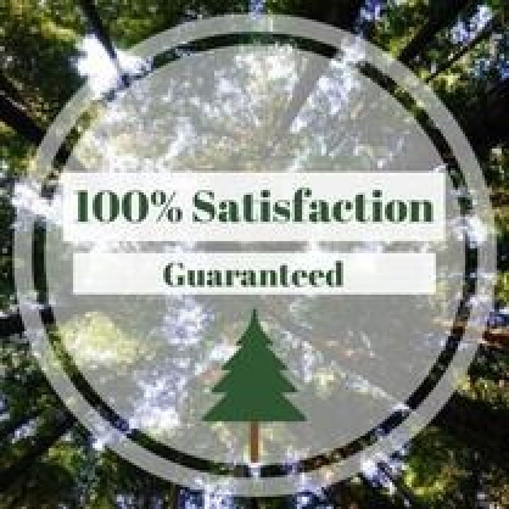 Elk Grove Tree Services: Reliable Local Yard Care