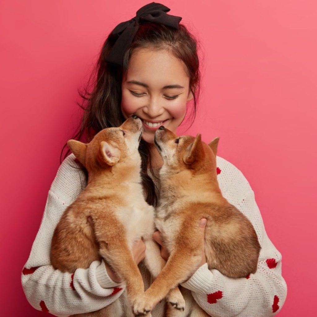 Cat Dating Site: Find Friendly Matches for Your Feline