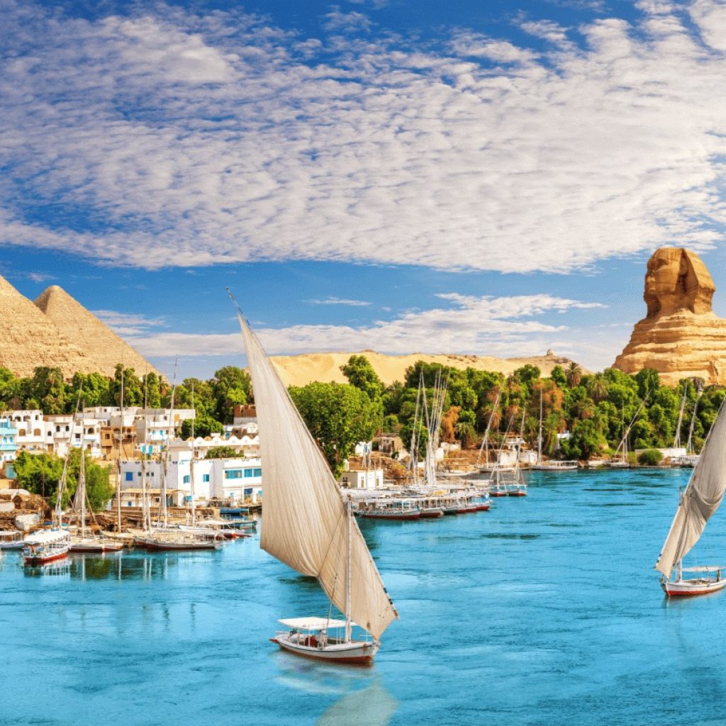 Parking Lot Management System In Cairo: Smart, Efficient Parking