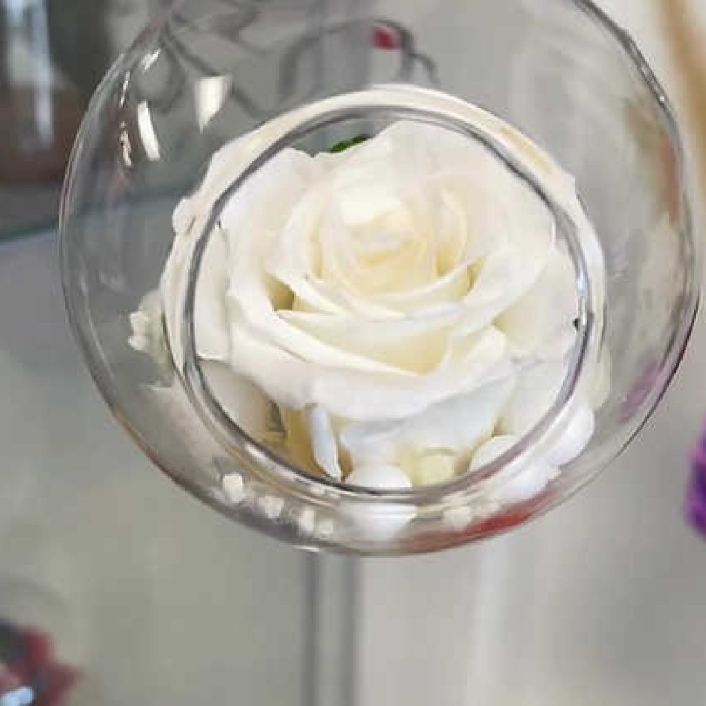 Buy Love Forever Rose: Lasting, Gift-Ready Preserved Rose