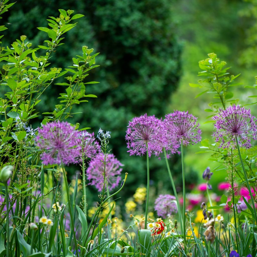 Gardening services Bristol – reliable yard care