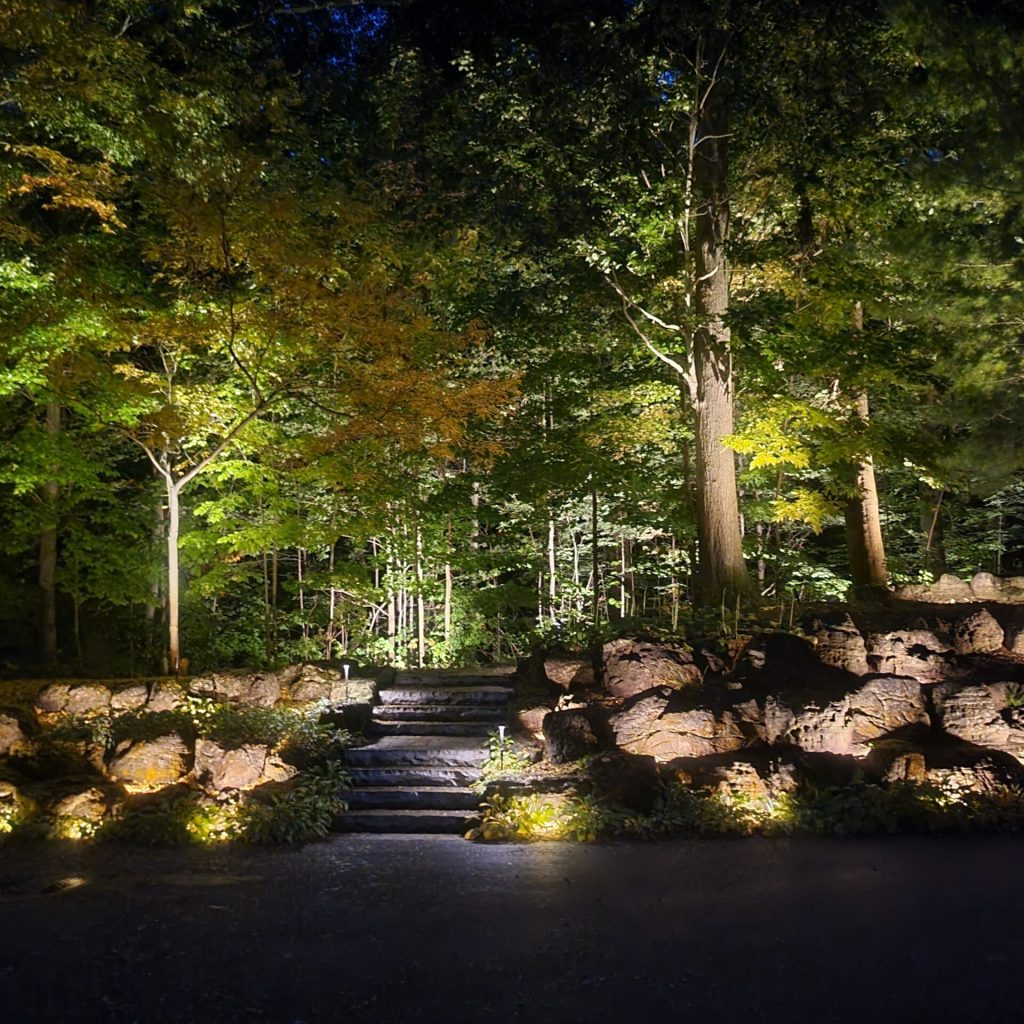 Revitalize Your Yard with Expert Landscaping Kitchener Services Revitalize Your Yard with Expert Landscaping Kitchener Services