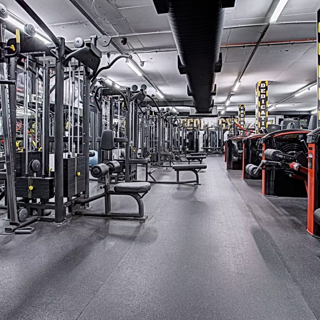 Mma Gym Cost: What to Expect When Joining