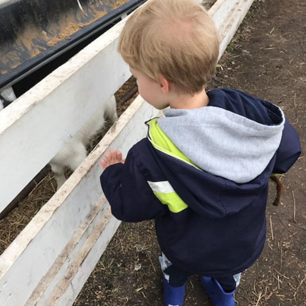 Find Daycare near Downtown Edmonton That Feels Like Home