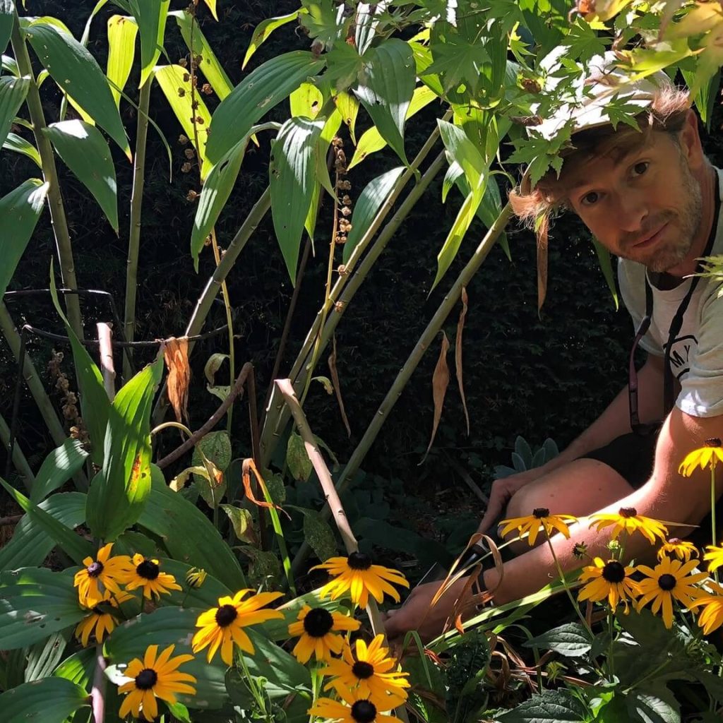 Gardening Services Tunbridge Wells: reliable lawn care and plant maintenance