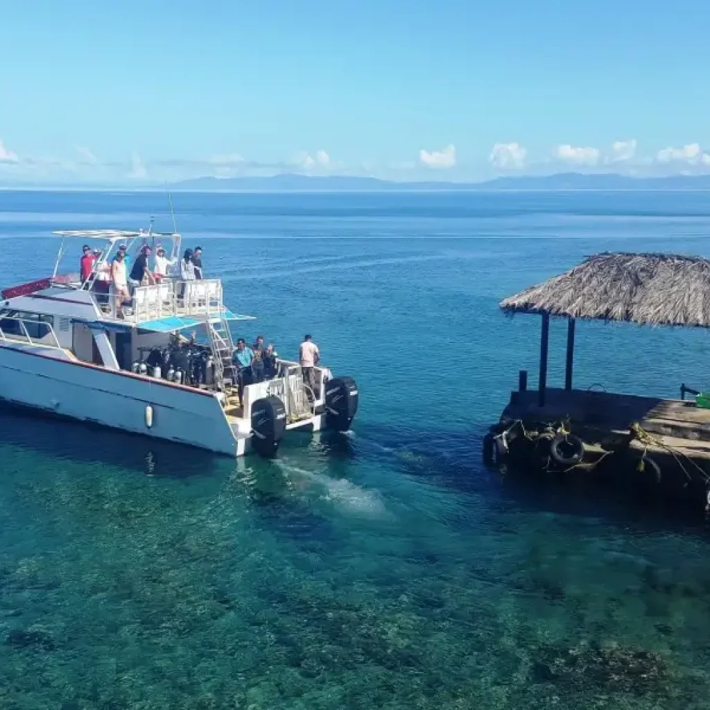 Fiji Islands Resorts for Sale: Turnkey Beachfront Opportunity