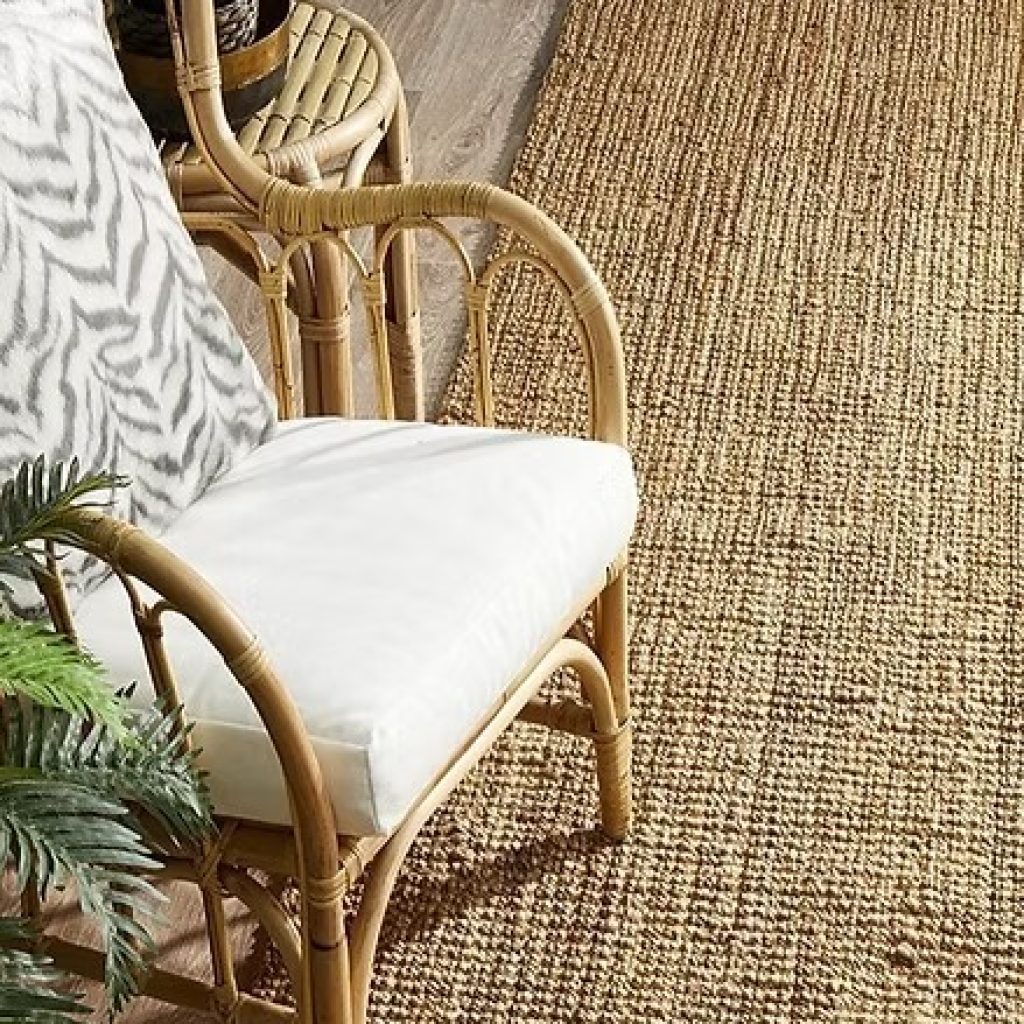 Shop Jute Carpets Online: Durable, Eco-Friendly Rugs for Any Room