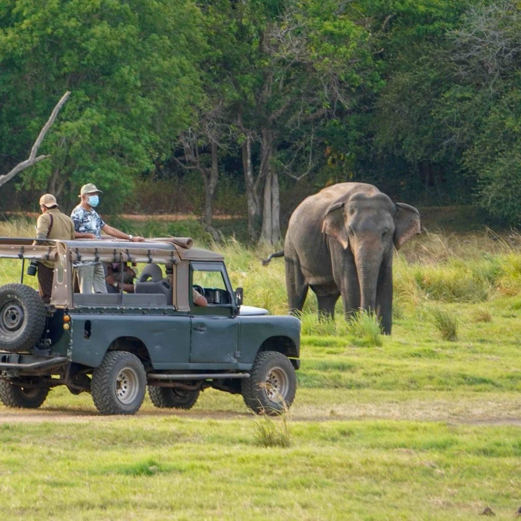Tailored Sri Lanka Trips with Expert Drivers