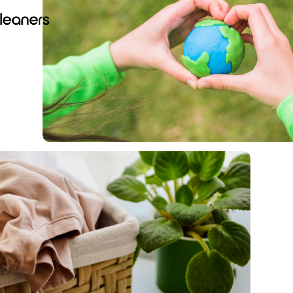 Top-Rated Milpitas Dry Cleaning & Garment Care
