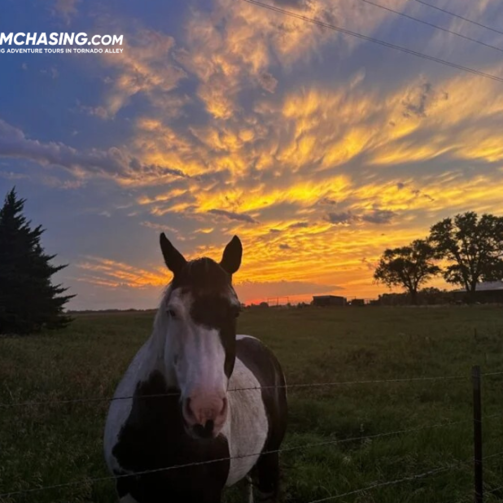 Thrilling storm chase getaway: chase twisters with expert guides