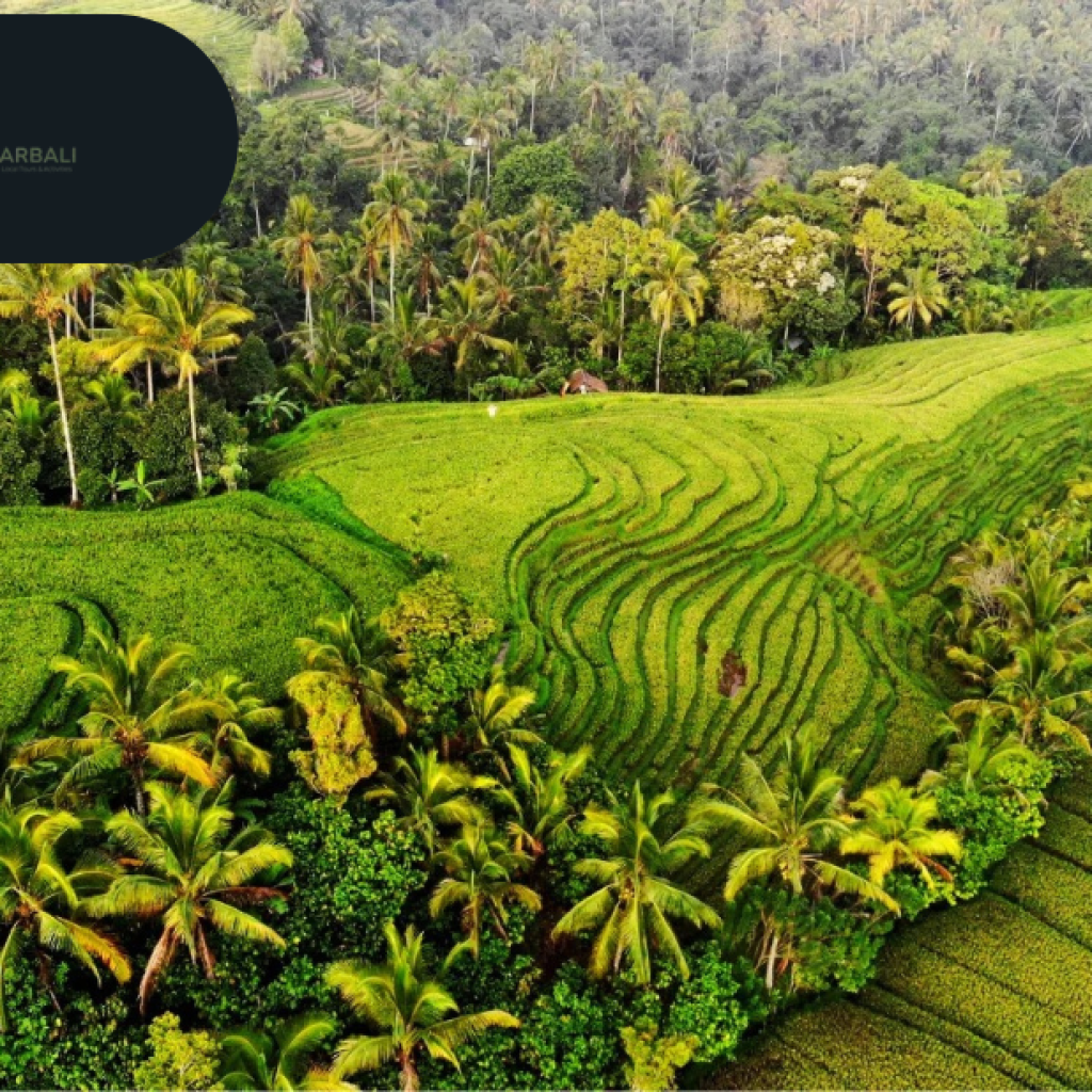 Discover Bali by Bike: Scenic Routes, Local Life & Windward Trails