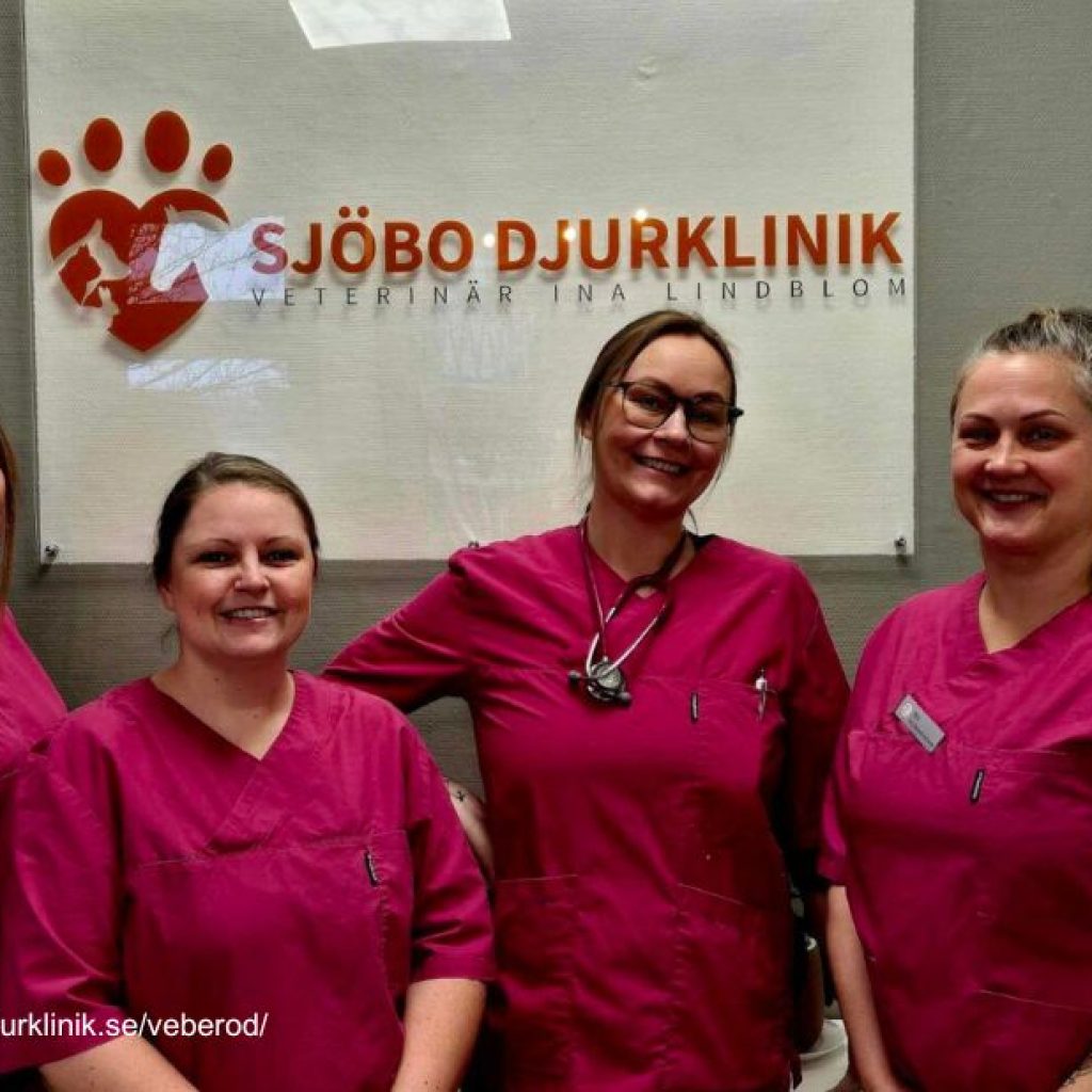 Omsorgsfull djurvård i närheten av Veberöd