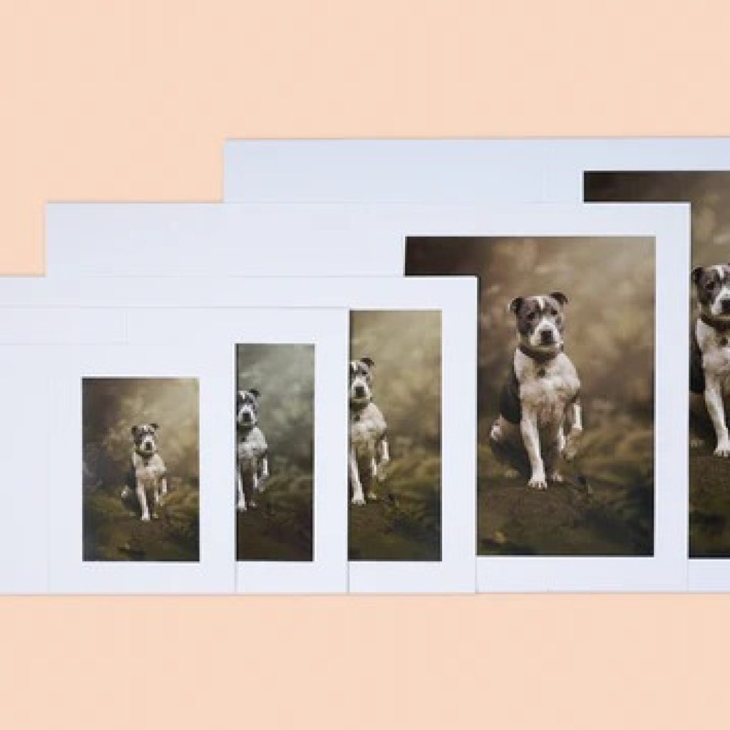 Capture, Protect and Carry Your Memories in Style