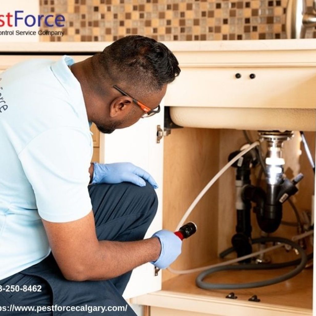 Exterminator Calgary | Pestforcecalgary.com