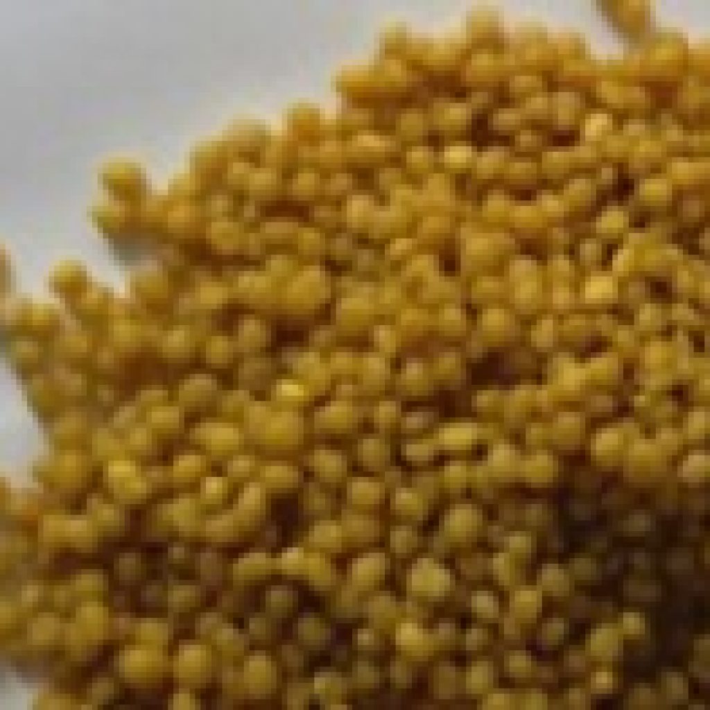 Reliable African Fertiliser Partner for Global Markets Reliable African Fertiliser Partner for Global Markets