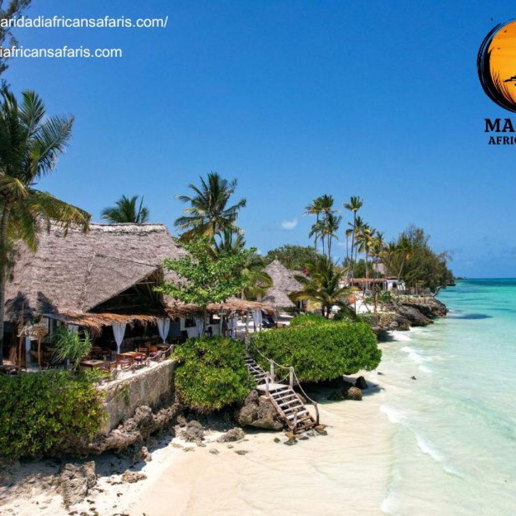 Exclusive Maasai Mara Adventures: Curated Safari Deals