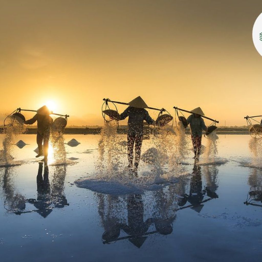 Navigating a Business Take Over in Singapore Navigating a Business Take Over in Singapore