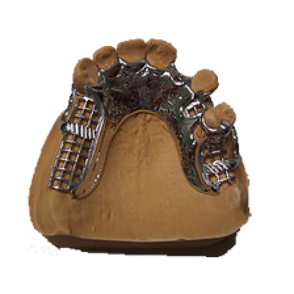 Flexible Partial Dentures | Denturesquare.com Flexible Partial Dentures | Denturesquare.com