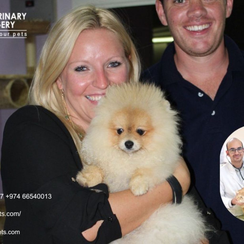 Best Vet In Qatar | Dohavets.com