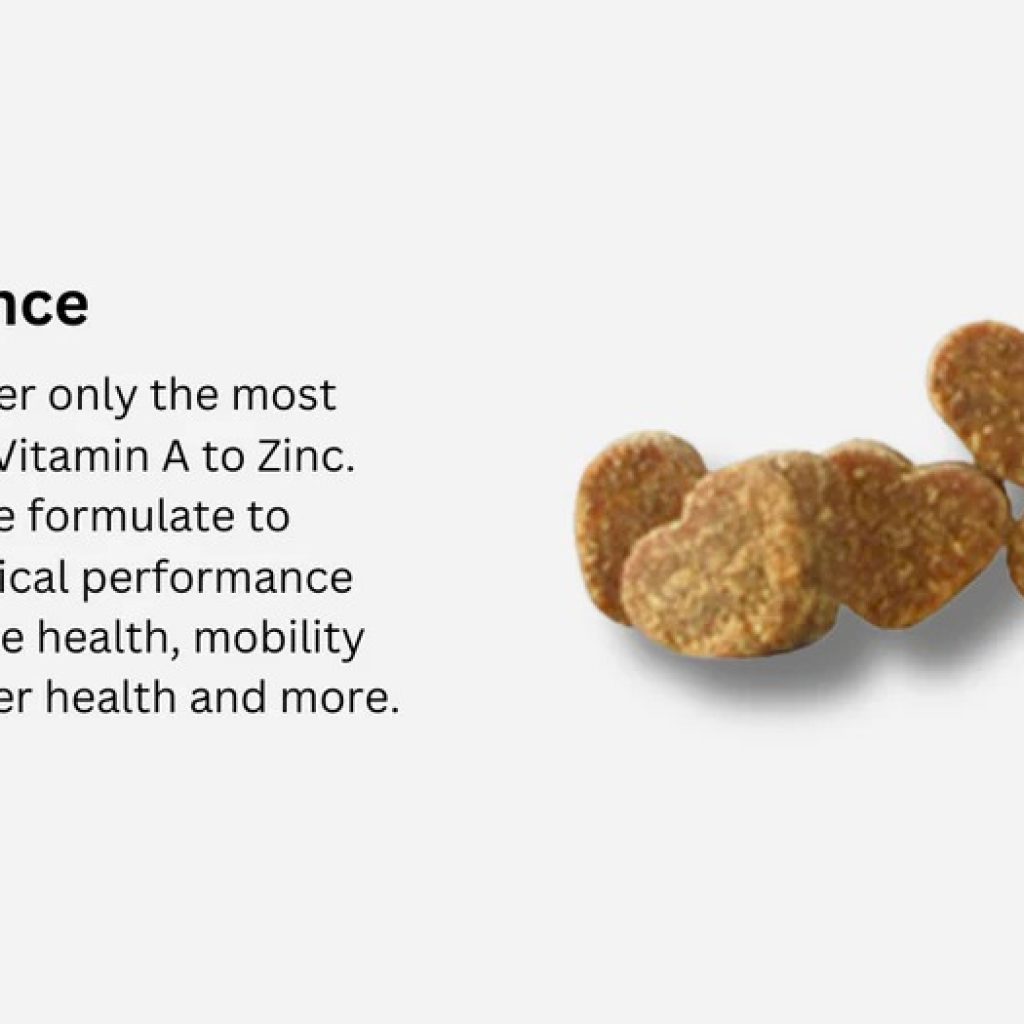 Support Your Dog’s Wellness with Cranberry Care for Pets