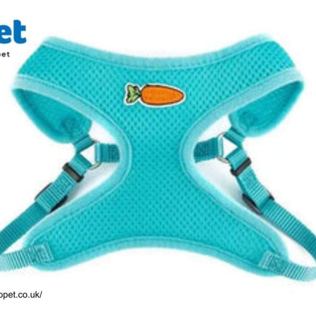 Super Pet Comfort Wheel Buy Online Uk | Yopet.co.uk