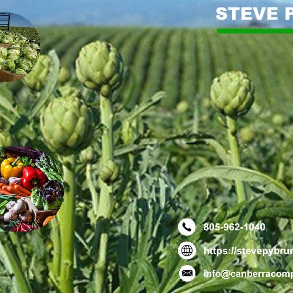 Farm and Ranch Tax Expert in Salinas Maximize Your Farm’s Tax Benefits