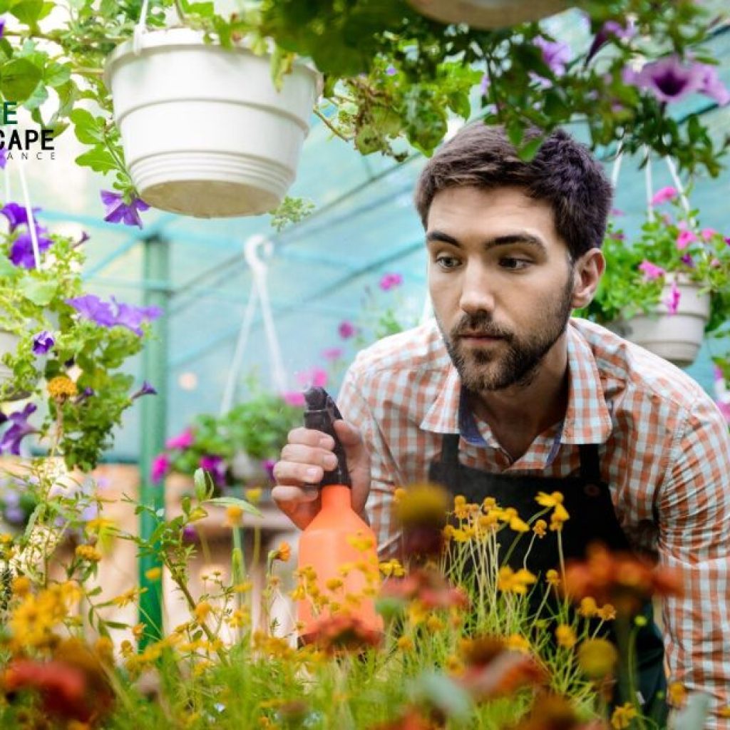 Reliable Lawn & Garden Care in Sydney – Regularly Scheduled, Local Experts Reliable Lawn & Garden Care in Sydney – Regularly Scheduled, Local Experts