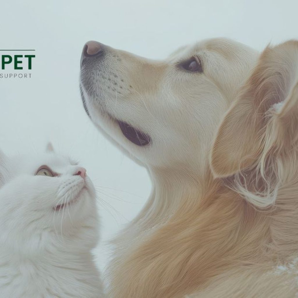 Support Your Cat’s Urinary Health Naturally
