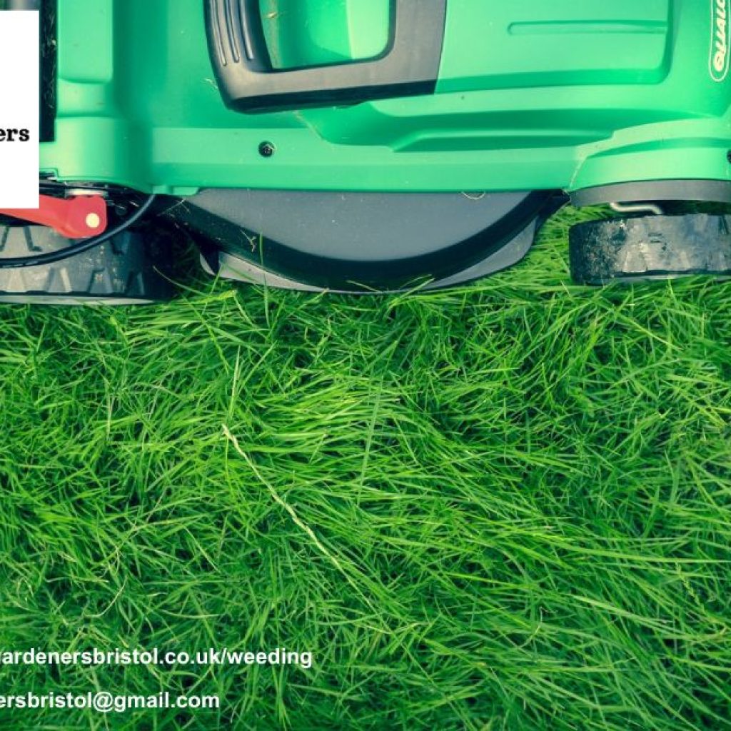 Fast, Reliable Lawn Mowing in Bristol — Book Today