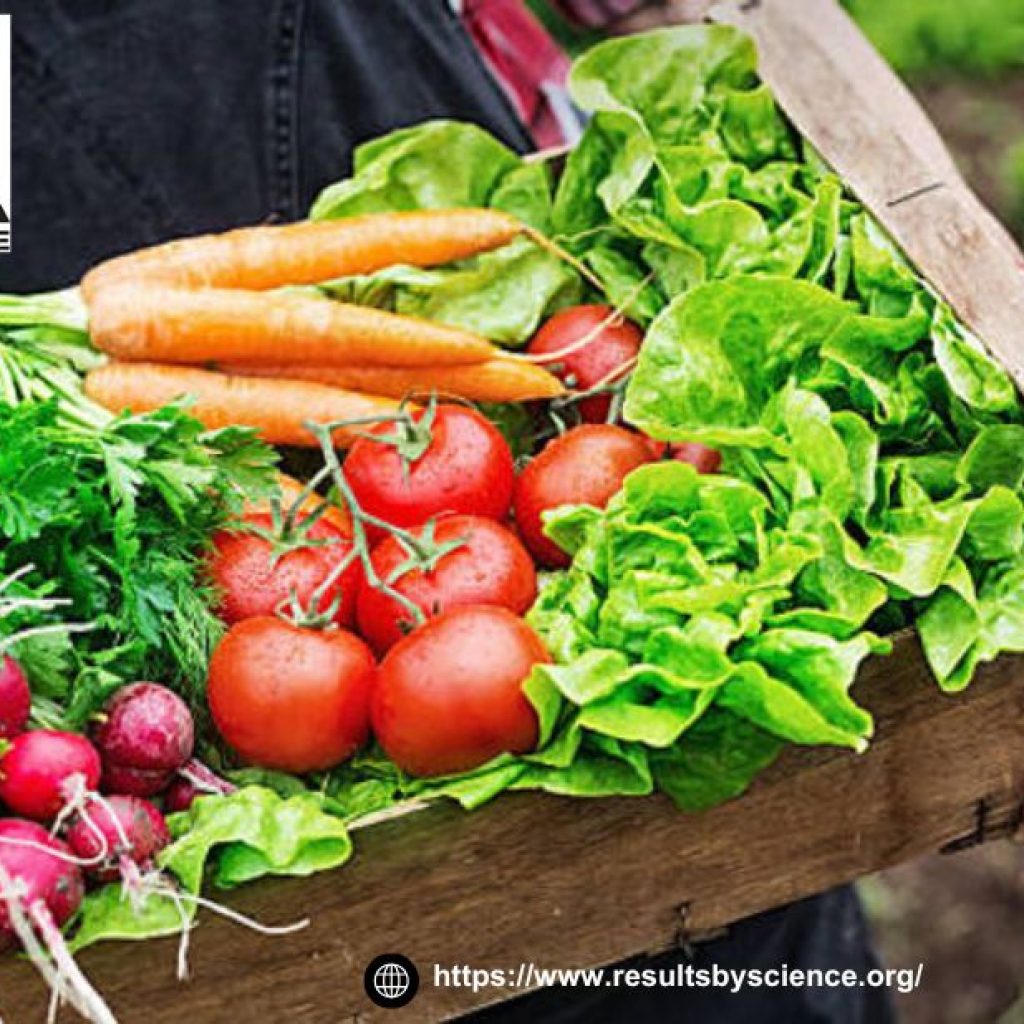 Smart Strategies to Add Healthy Pounds and Build Muscle