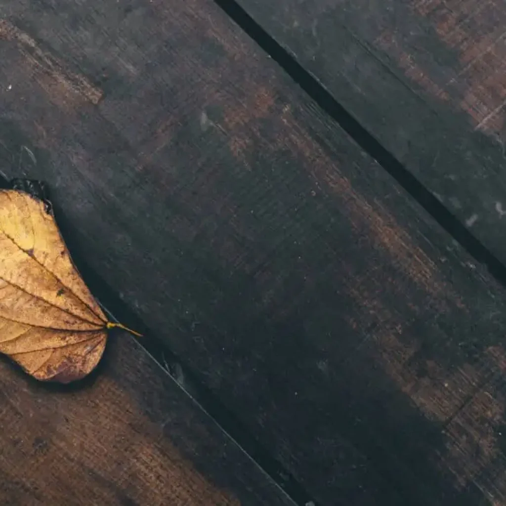 Enhance Connectivity with UK-Style Internet Bonding Solutions in India Enhance Connectivity with UK-Style Internet Bonding Solutions in India