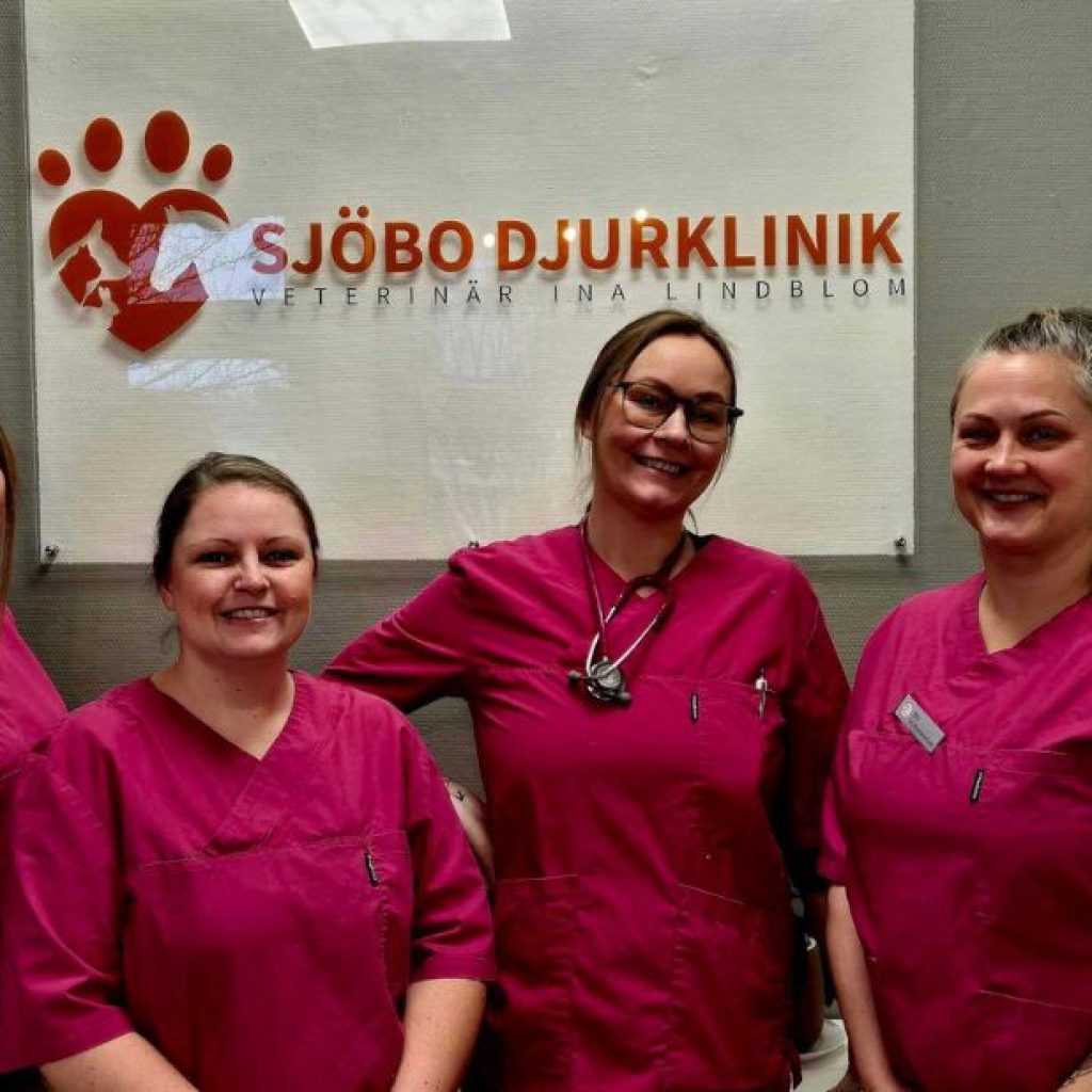 Expertrådgivning för din katts munhälsa i Skurup