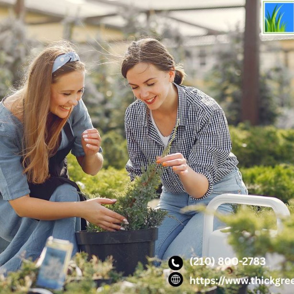 Best Time To Fertilize Your Lawn | Thickgreenhealthy.com